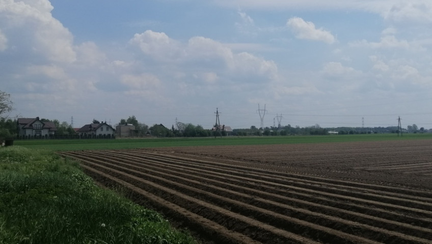 Działka Sprzedaż Topolin Bolesława Chrobrego